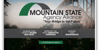 MSAA Website 06